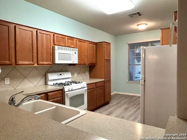 12731 Cascade Hills, San Antonio, TX 78253 - Image #3
