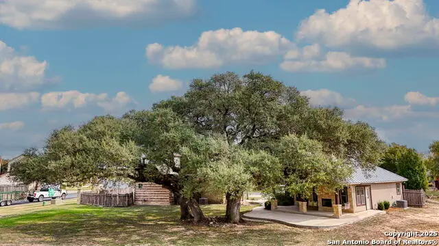 1618 Gruene Vineyard Crossing, New Braunfels, TX 78130 - Image #3