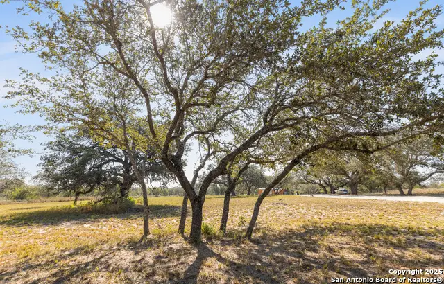 1304 County Road 777, Devine, TX 78016 - Image #1