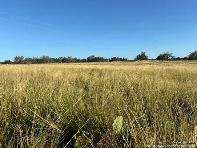 183 Lipan Loop, Harper, TX 78631 - Image #3