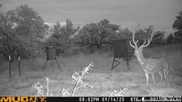 LOT 2 Live Oak Ridge, Bandera, TX 78003