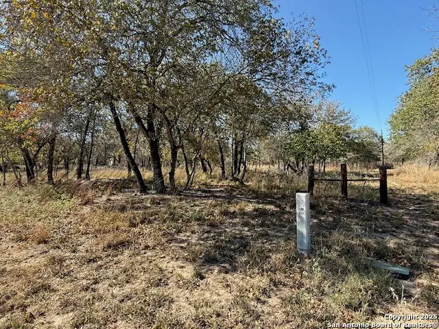 1009 Wild Flower, Floresville, TX 78114 - Image #3