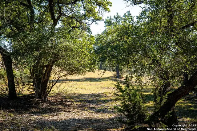 708 Malaga, Canyon Lake, TX 78133 - Image #1