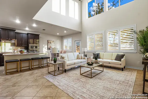 18043 Muir Glen, San Antonio, TX 78257