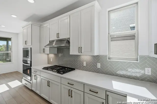 347 Alpine Lakes, New Braunfels, TX 78130 - Image #2