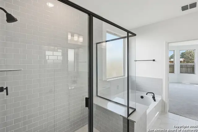 347 Alpine Lakes, New Braunfels, TX 78130 - Image #3