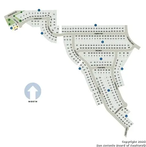 1560 Ravine, New Braunfels, TX 78132 - Image #3