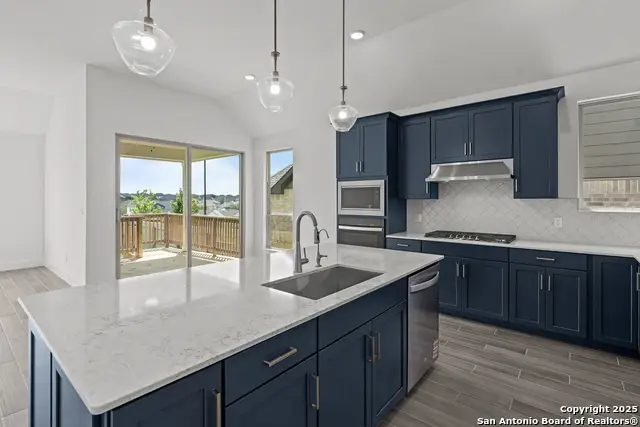 133 Merry Calf Lane, Boerne, TX 78006 - Image #3