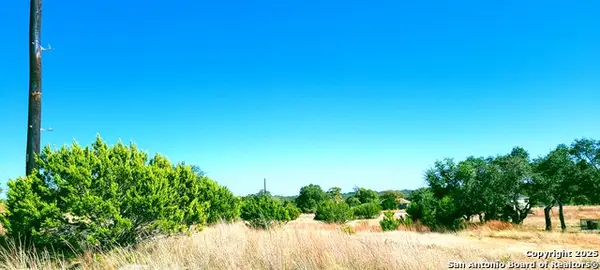 109 Manuel Herrera, Blanco, TX 78606