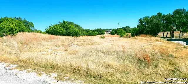 109 Manuel Herrera, Blanco, TX 78606 - Image #3