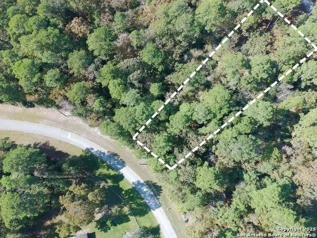 LOT 103 Shoreline Dr, Trinity, TX 75862 - Image #3