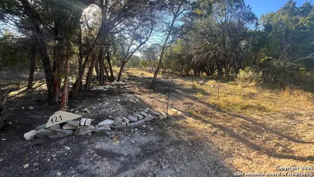 0 Wyatt Earp, Bandera, TX 78003 - Image #2