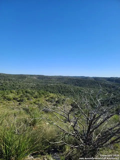 TBD H55, C408, Uvalde, TX 78801 - Image #2