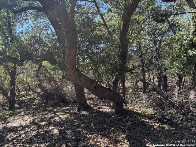 LOT 85 Headwaters Ranch Road, Kendalia, TX 78027 - Image #3