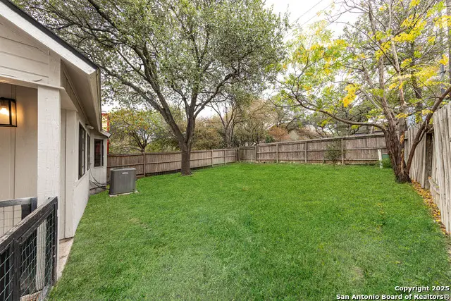4206 Birch Tree, San Antonio, TX 78247 - Image #3