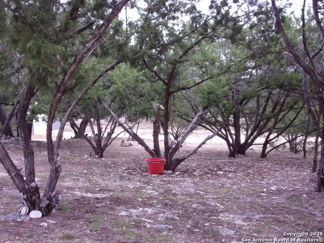 2471 Rolling River, Spring Branch, TX 78070 - Image #3