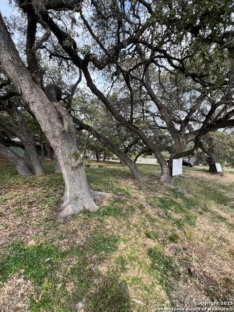 11811 Orsinger Ln, San Antonio, TX 78230 - Image #2