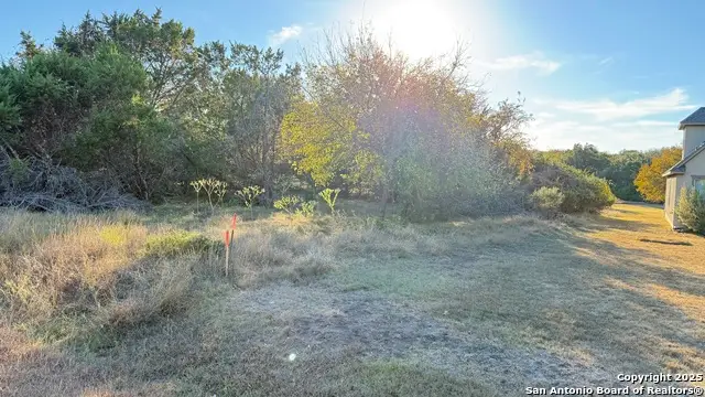 737 Long Meadows, Spring Branch, TX 78070 - Image #2