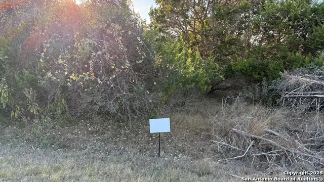 737 Long Meadows, Spring Branch, TX 78070 - Image #3