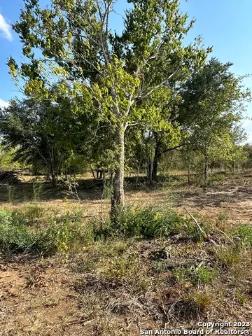 5894 Fm 1107 Unit B-tract 1, Stockdale, TX 78160 - Image #1