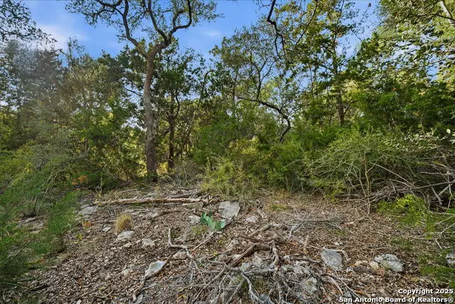 1371 Four Winds, Canyon Lake, TX 78133 - Image #2