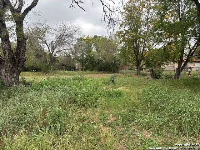 7827 Von Ormy, Von Ormy, TX 78073 - Image #2