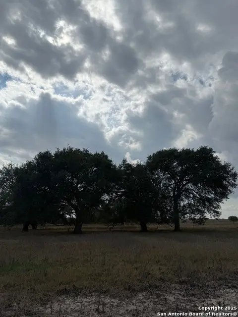 00 County Road 302, Runge, TX 78151 - Image #2