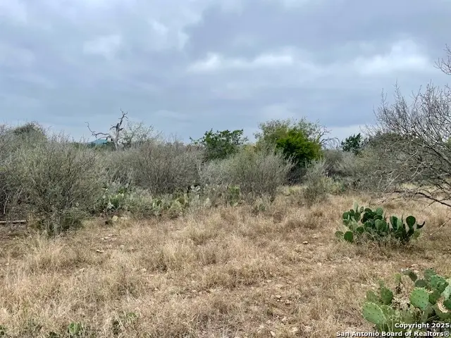 LOT 22 Brown Saddle, Bandera, TX 78003 - #2