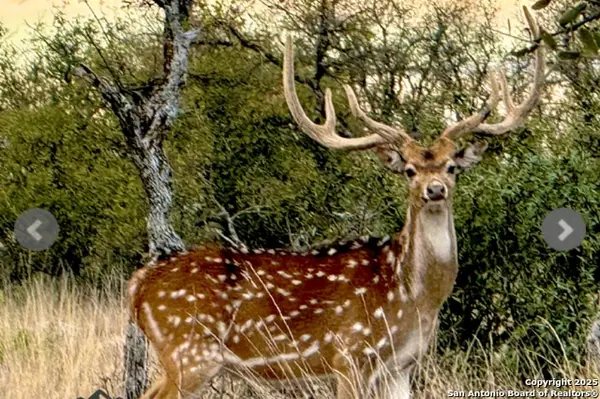 14410 Us Highway 190, Fort McKavett, TX 76841