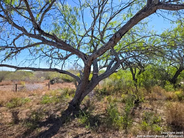 00 Cr 123, Pawnee, TX 78145 - Image #2
