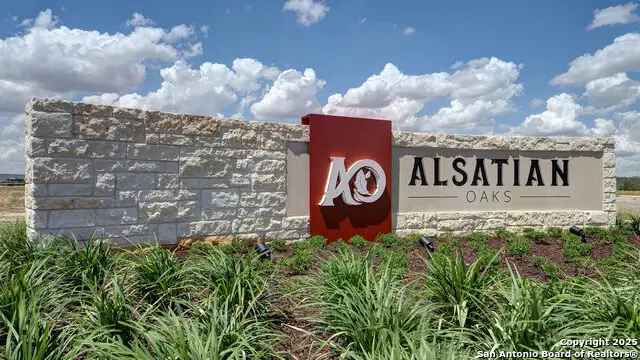 172 Mountain Oak, Castroville, TX 78009 - Image #3