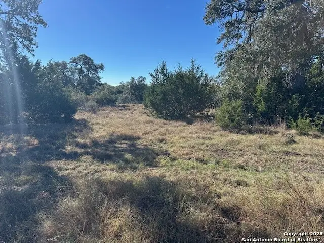 559 (LOT 1680) Curvatura, New Braunfels, TX 78132 - Image #2