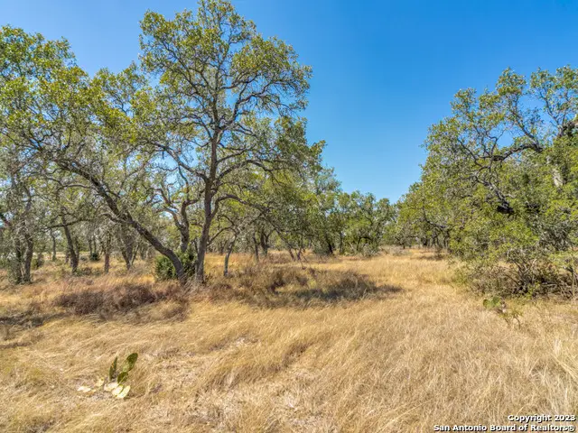 680 Annabelle Ave, Bulverde, TX 78163 - Image #3
