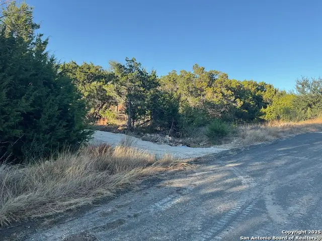 113 Champion Way, Spring Branch, TX 78070 - Image #1