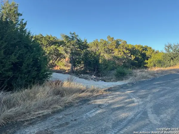 113 Champion Way, Spring Branch, TX 78070