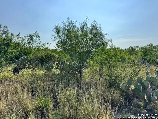 0 Cameron Ln, Fowlerton, TX 78021 - Image #3