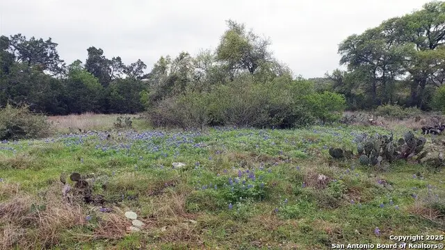 301 Rim Rock Ranch, San Marcos, TX 78666 - Image #2