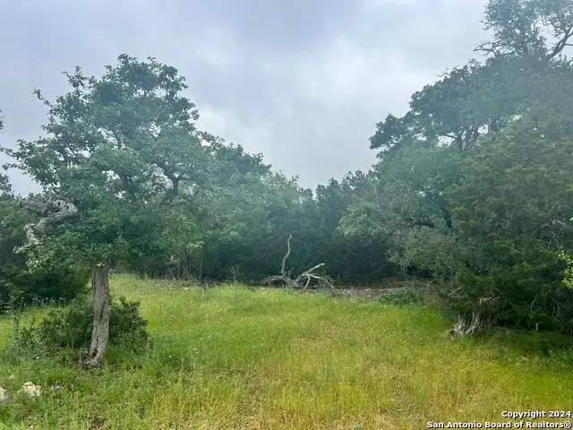 512 Lasso, Canyon Lake, TX 78133 - Image #1