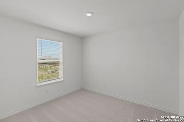 949 Heartseed Avenue, New Braunfels, TX 78130 - Image #3