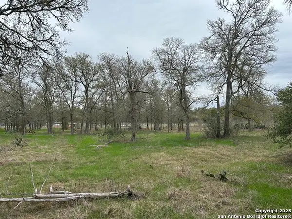 141 N Eskew Lane, Cedar Creek, TX 78612