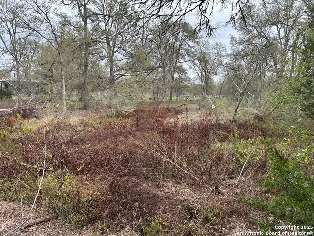 141 N Eskew Lane, Cedar Creek, TX 78612 - Image #3