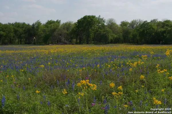 1527 County Road 412, Stockdale, TX 78160