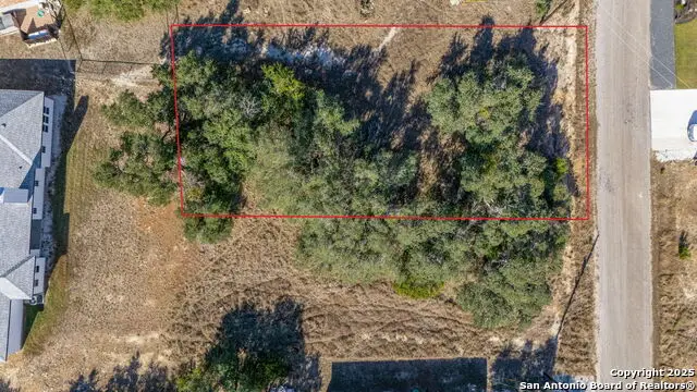 231 Peter Kleid Loop, Blanco, TX 78606 - Image #3