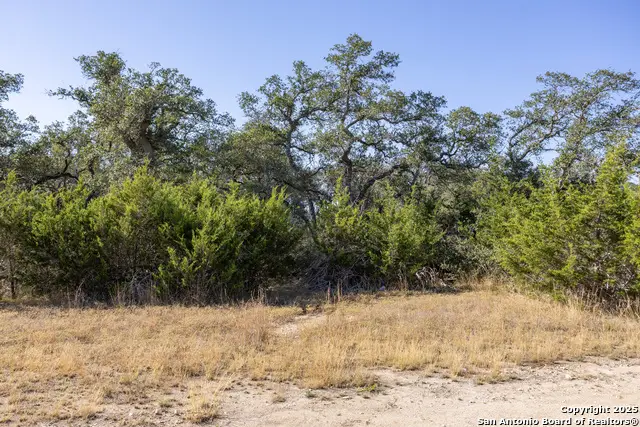 BLOCK 2, LOT 4 Fortunate Son, Boerne, TX 78006 - Image #3