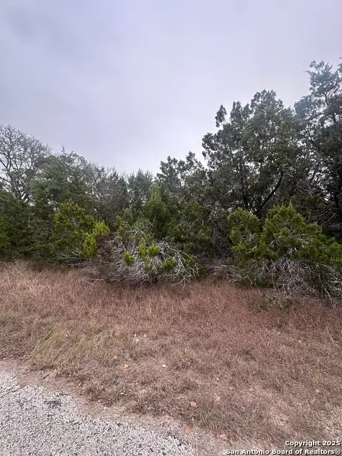 1350 Echo Meadow, Spring Branch, TX 78070 - Image #2