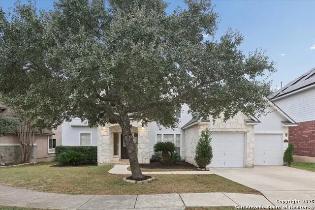 24207 Bear Mtn, San Antonio, TX 78258 - Image #3