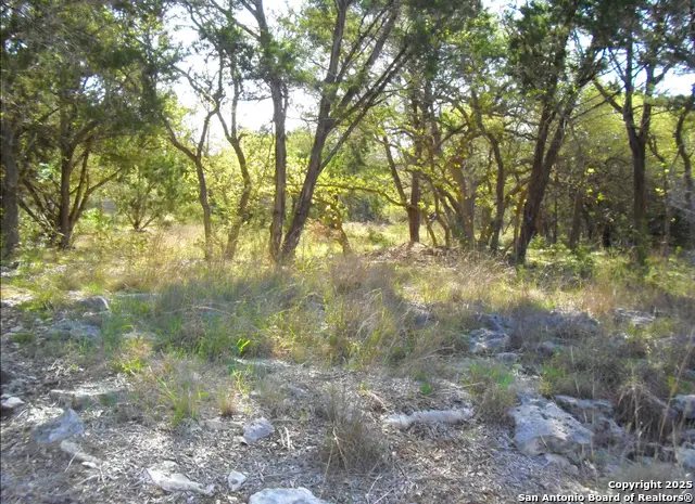 2024 Fm 3424, Canyon Lake, TX 78133 - Image #3