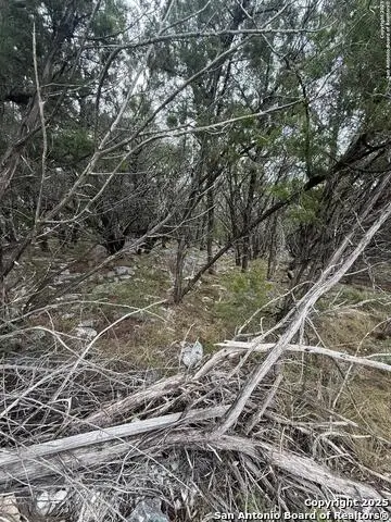 8115 Grand Stone, San Antonio, TX 78266 - Image #2