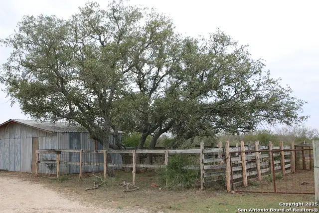 TBD #1 County Road 651, Devine, TX 78016 - Image #3