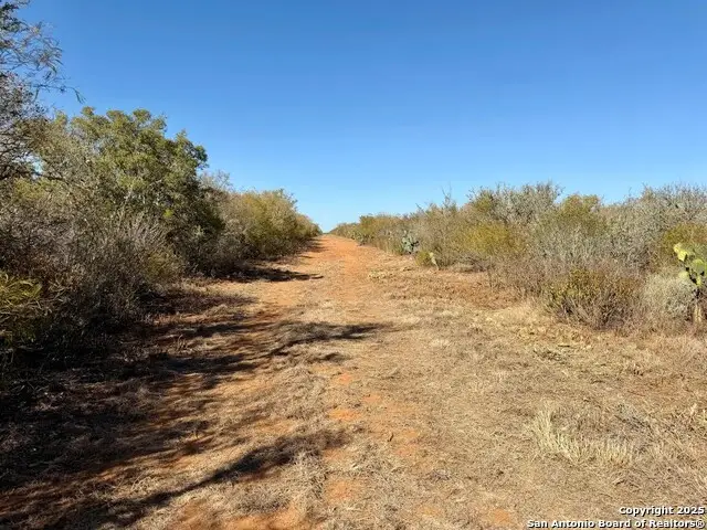 0 County Road 203, Alice, TX 78384 - Image #2